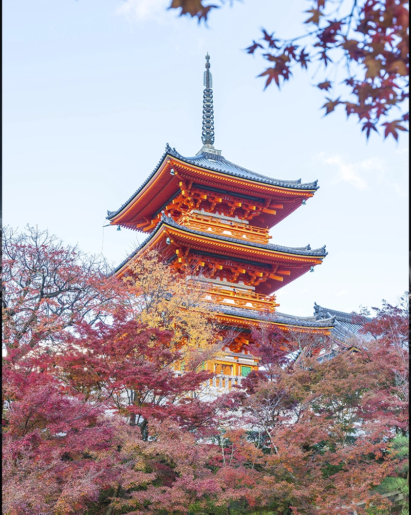 Kyoto Cultural Season