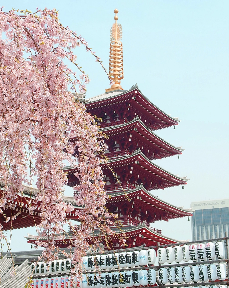 Tokyo Style & Culture Tour