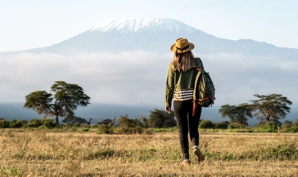 Mount Kilimanjaro Summit