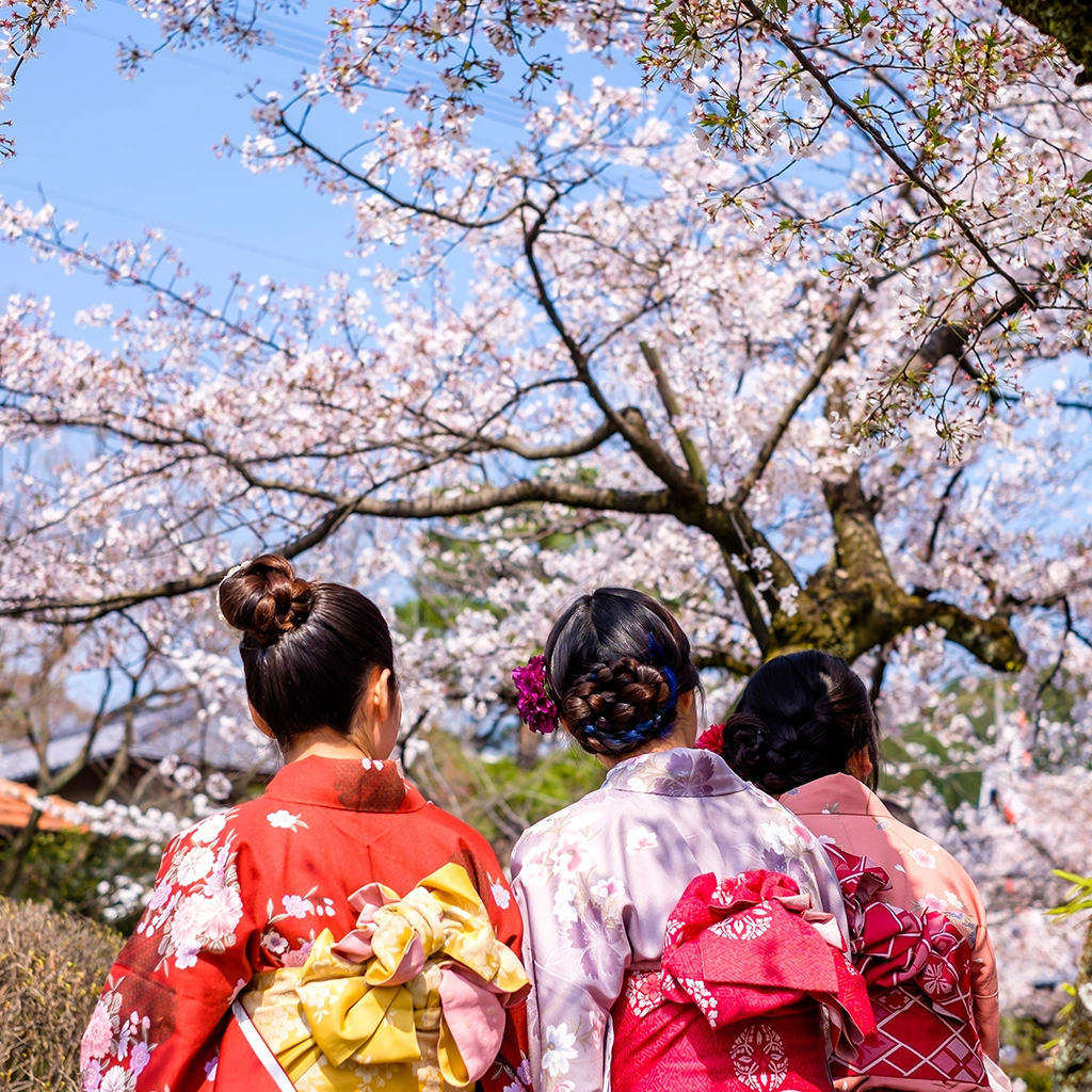 Japan Women's Cultural Journey