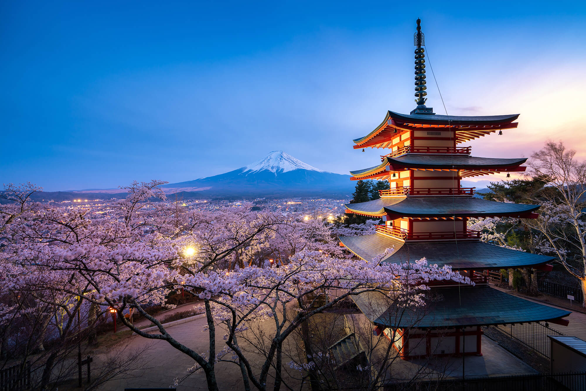 Extraordinary Travel Experiences by Aiir Travel